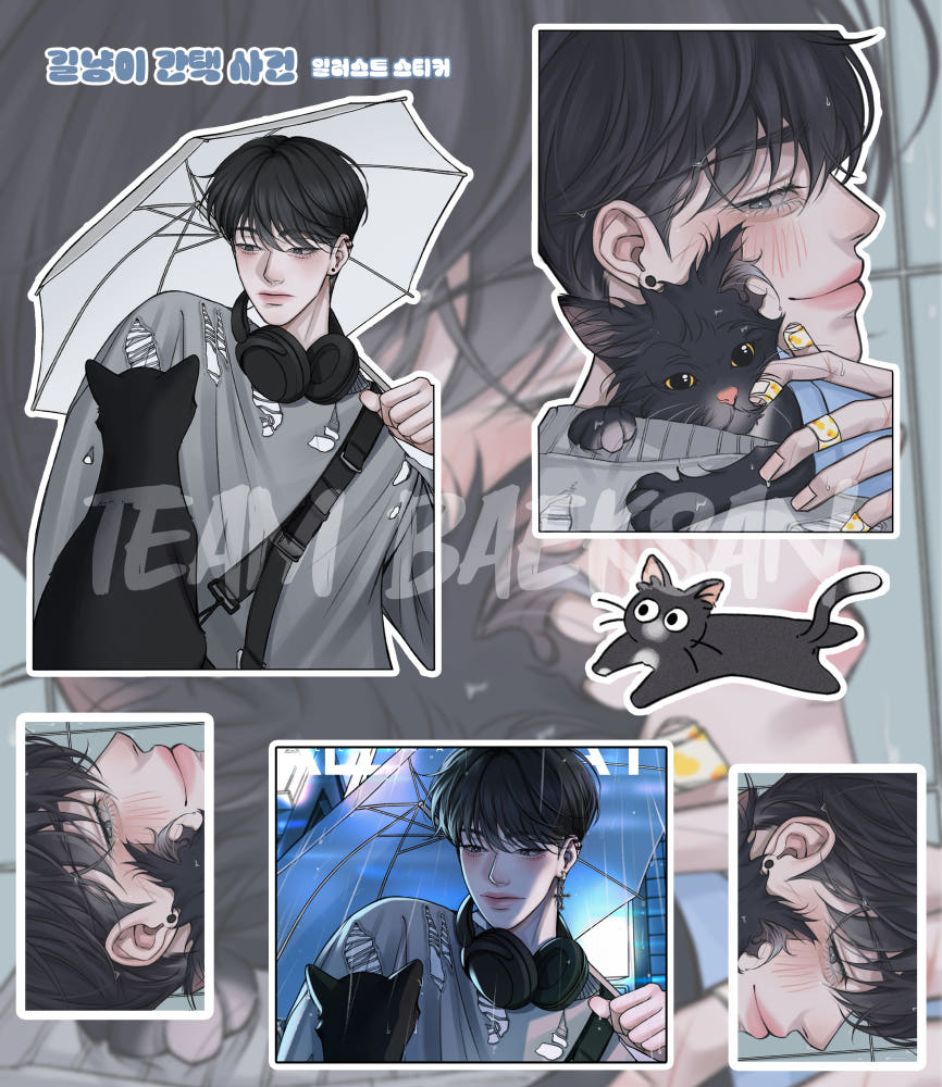 [Team Baeksan] Naengtaksa Illustration Stray Cat Selection Sticker Sheet