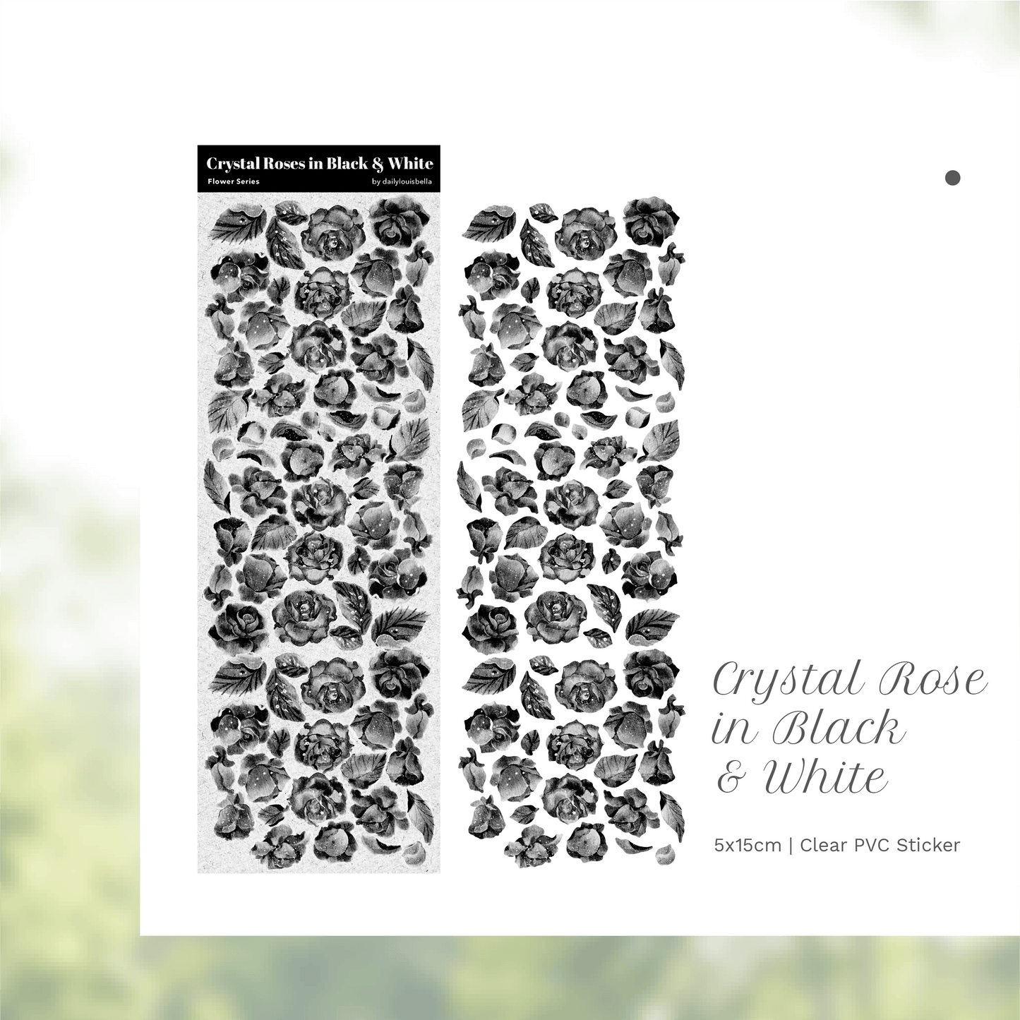 [Dailylouisbella] Crystal Rose in Black & White