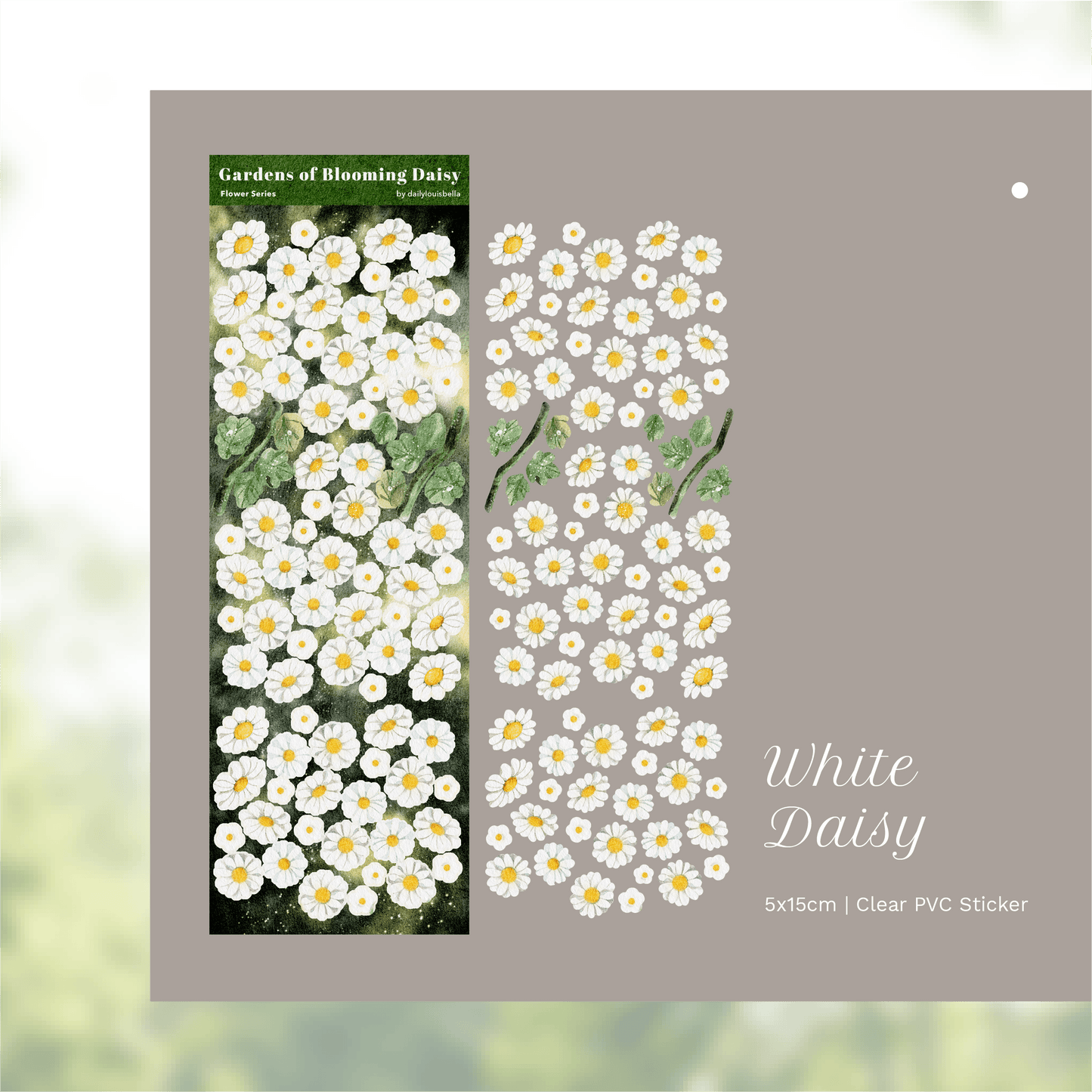 [Dailylouisbella] Gardens of Blooming Daisy