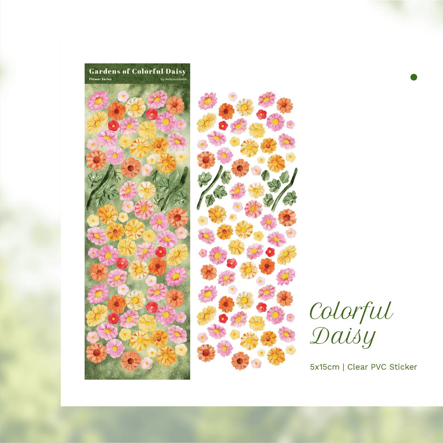 [Dailylouisbella] Gardens of Colorful Daisy